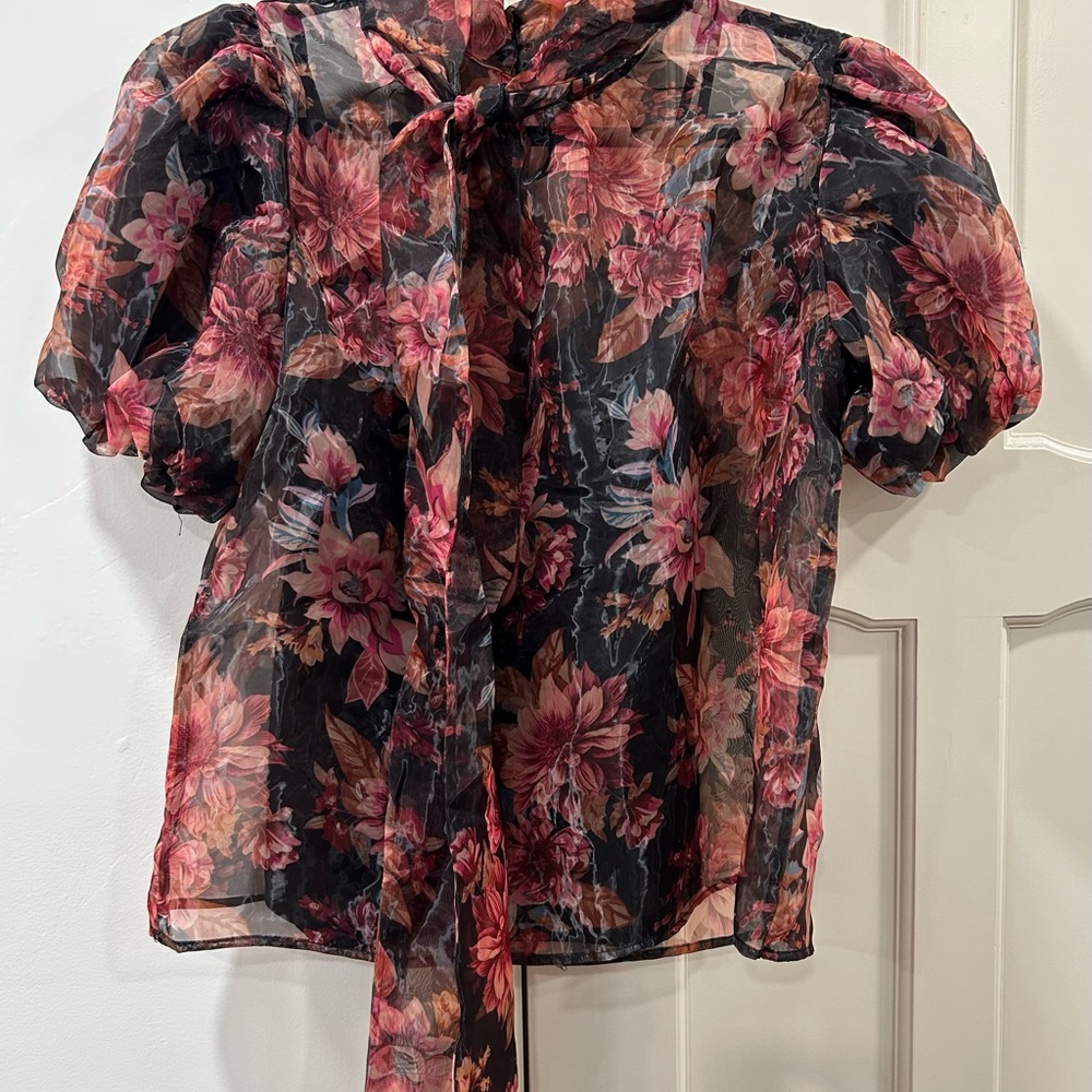 Vici Floral Sheer Blouse - Black and Pink